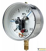 ДМ2005ф Кс 6 МПа кл.1,5 IP54 исп IV SG без фланца УТ000019995