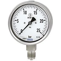 232.50.100 1,6 bar G1/2" Нерж.Сухой УТ000002606