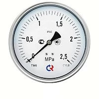 ТМ-621ТЭ.00(0-0,6)MPa.М20х1,5.1,0  ОШ СИЛИКОН УТ000011192